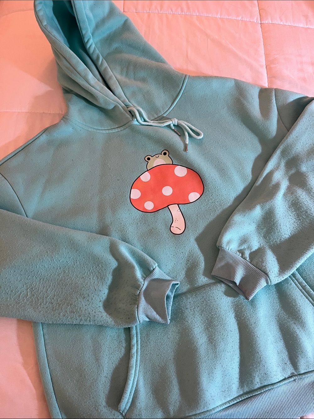 Light teal sweatshirt with Frog and Mushroom appliqué